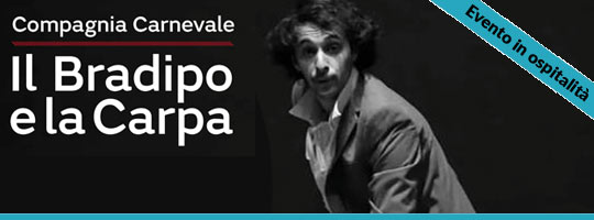 bradipo-news